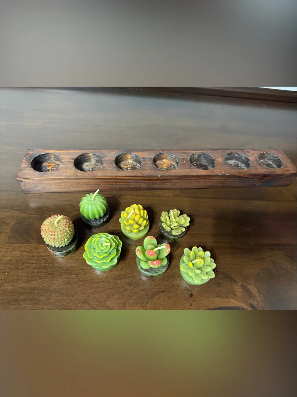 Succulent Planter with 7 succulent candles